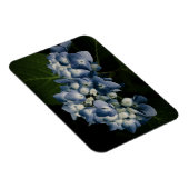 Blue Hydrangea 8514 Premium Magnet Magneet (Rechterzijde)