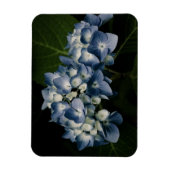 Blue Hydrangea 8514 Premium Magnet Magneet (Verticaal)