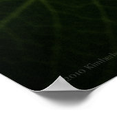 Blue Hydrangea 8514 Print (Hoek)