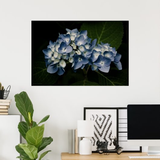 Blue Hydrangea 8514 Print (Thuiskantoor)