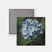 Blue Hydrangea 8515 Magnet (Voorkant / Achterkant)