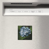 Blue Hydrangea 8515 Magnet (Insitu (Vaatwasser))