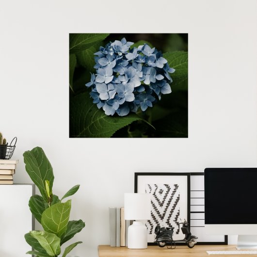 Blue Hydrangea 8515 Print (Thuiskantoor)