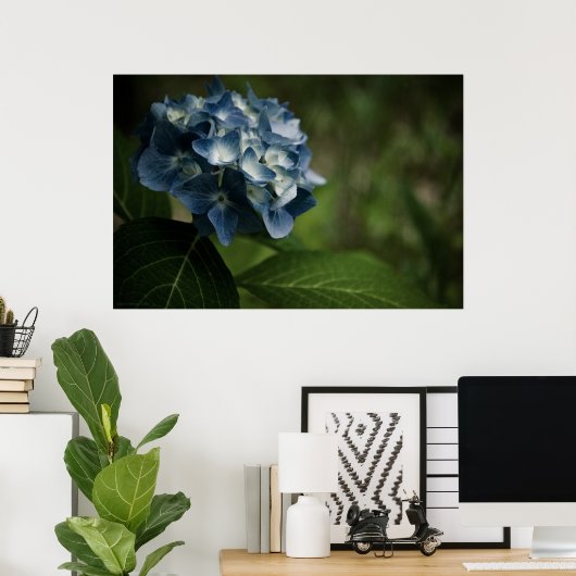 Blue Hydrangea 8519 Print (Thuiskantoor)