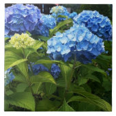 Blue Hydrangea Bloem Decoratieve Keramische Tegel Tegeltje (Voorkant)