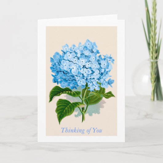 Blue Hydrangea Bloom Thinking of You Kaart (Voorkant)