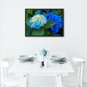 Blue Hydrangea Blooms Floral Glossy Perfect Poster
