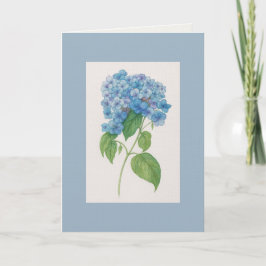 Blue Hydrangea Botanical Art Card — Watercolour  Kaart