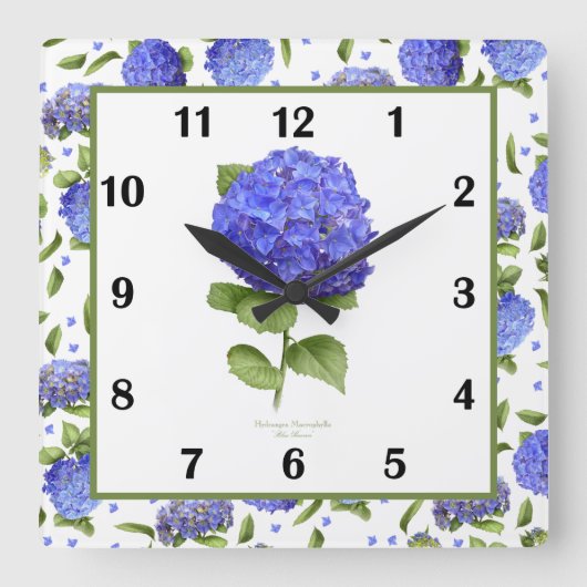 Blue Hydrangea Botanical Art Square Wall klok (Voorkant)