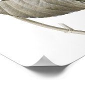 Blue Hydrangea Botanical Artwork no. 2 Poster (Hoek)