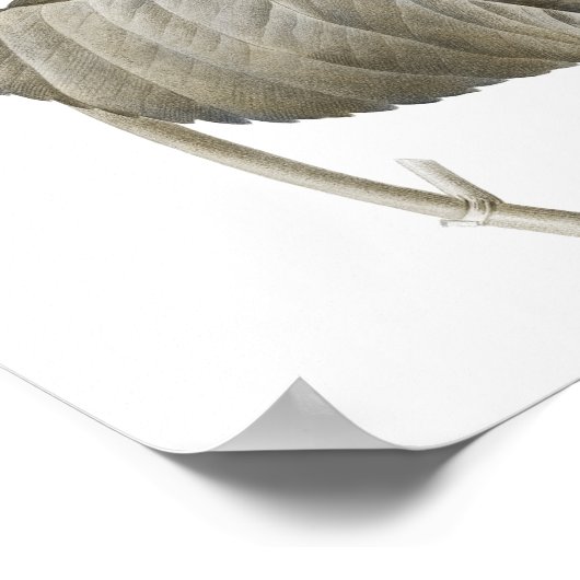 Blue Hydrangea Botanical Artwork no. 2 Poster (Hoek)