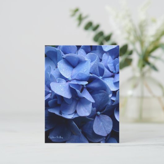 Blue Hydrangea briefkaart (Staand voorkant)