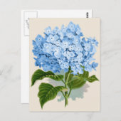 Blue Hydrangea Briefkaart (Voorkant / Achterkant)