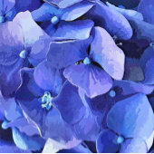 BLUE HYDRANGEA BUTTON FLESOPENER