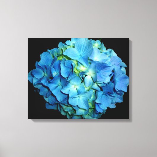 Blue Hydrangea Canvas Afdruk (Voorkant)