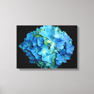 Blue Hydrangea Canvas Afdruk