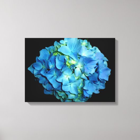 Blue Hydrangea Canvas Afdruk (Voorkant)