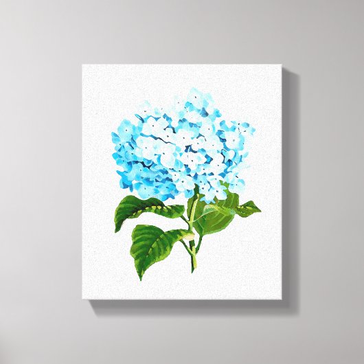 Blue Hydrangea Canvas Afdruk (Voorkant)