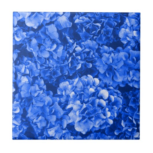 Blue Hydrangea Ceramic Tile Tegeltje (Voorkant)