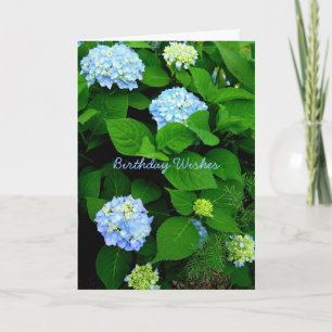 Blue Hydrangea Christelijk Verjaardag Kaart