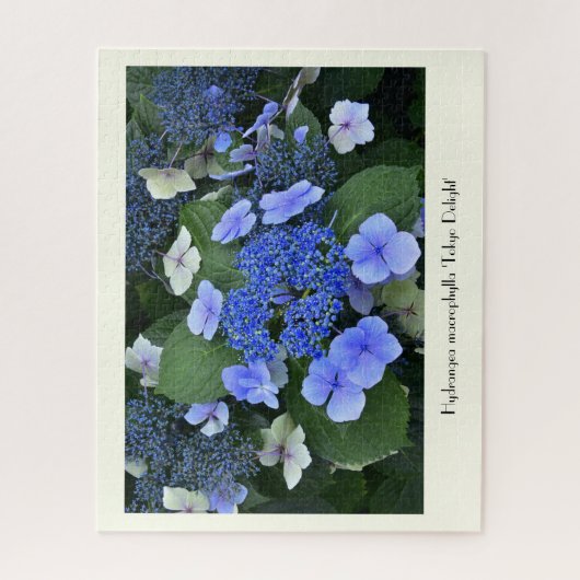Blue Hydrangea Collectable Flower Legpuzzel (Verticaal)