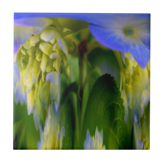 Blue Hydrangea Floral Abstract Art Tile Tegeltje (Voorkant)