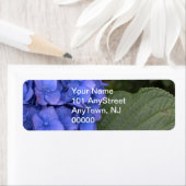 Blue Hydrangea Floral Etiket (Insitu)