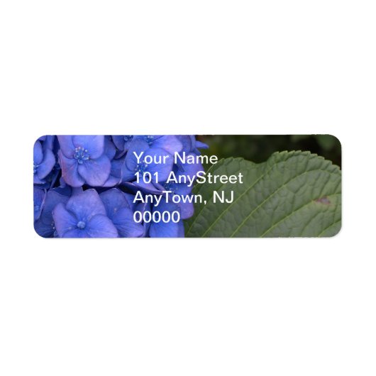 Blue Hydrangea Floral Etiket (Voorkant)