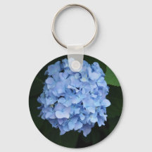  Blue Hydrangea Floral Foto