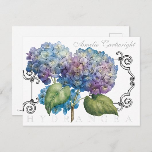 Blue Hydrangea Floral Monogrammed Name Briefkaart (Voorkant / Achterkant)
