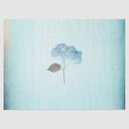 Blue Hydrangea  Floral Rustic Antiek Tissuepapier (Voorkant)