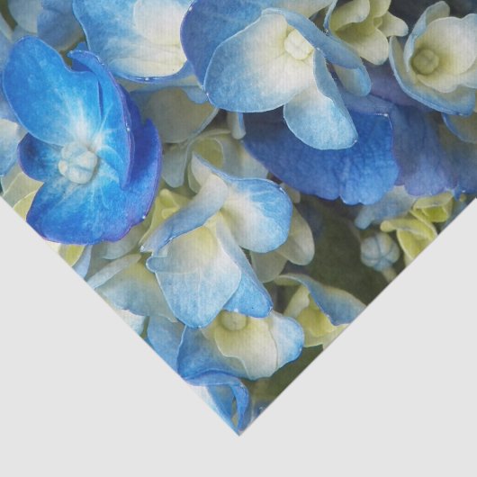 Blue Hydrangea Floral Tissuepapier (Detail)