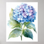 Blue Hydrangea Flower Art Print Poster (Voorkant)