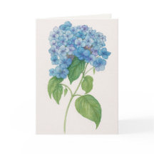 Blue Hydrangea Flower | Printable Greetin