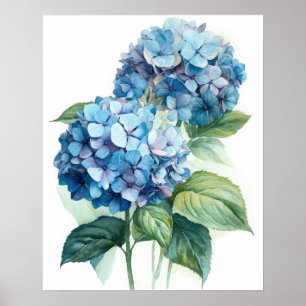 Blue Hydrangea Flowers Art Print Poster