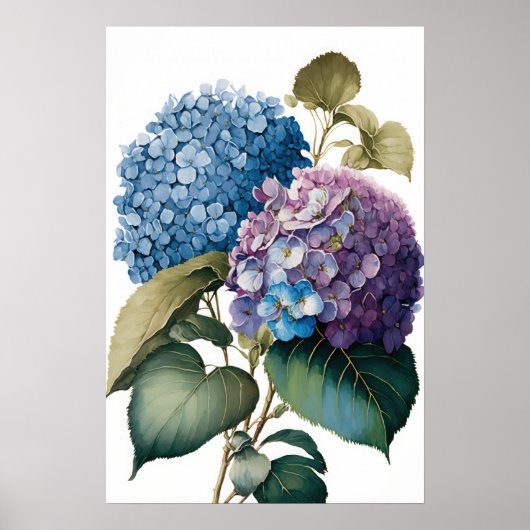 Blue Hydrangea Flowers Art Print Poster (Voorkant)