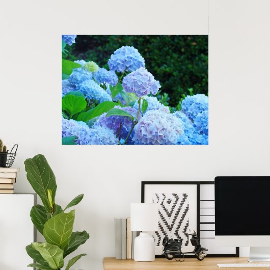 Blue Hydrangea Flowers art prints posters (Thuiskantoor)