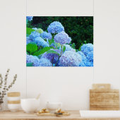 Blue Hydrangea Flowers art prints posters (Keuken)