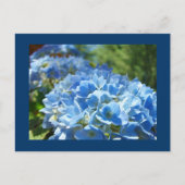 Blue Hydrangea Flowers briefkaarten Jouw tekst toe (Voorkant)