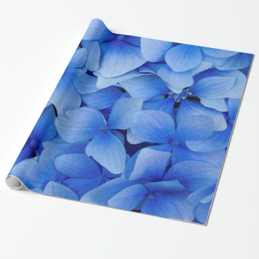 Blue Hydrangea Flowers Cadeaupapier (Uitgerold)