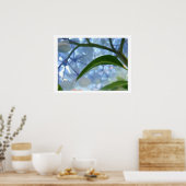 Blue Hydrangea Flowers Fine Art Prints Flowers (Keuken)