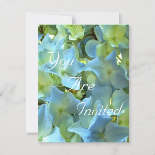 Blue Hydrangea Flowers Floral Flower Photo Kaart (Voorkant)