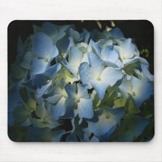 Blue Hydrangea Flowers Floral Flower Photo Muismat (Voorkant)