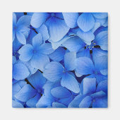 Blue Hydrangea Flowers Magneet (Voorkant)