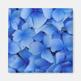 Blue Hydrangea Flowers Magneet