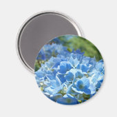 Blue Hydrangea Flowers magnet Floral Natuur (Voorkant / Achterkant)