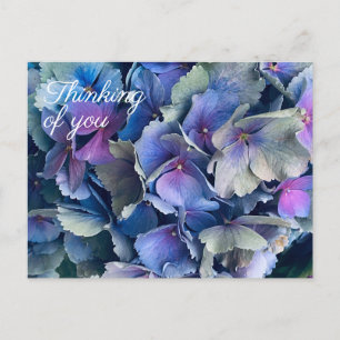 Blue Hydrangea Flowers Thinking of You Briefkaart