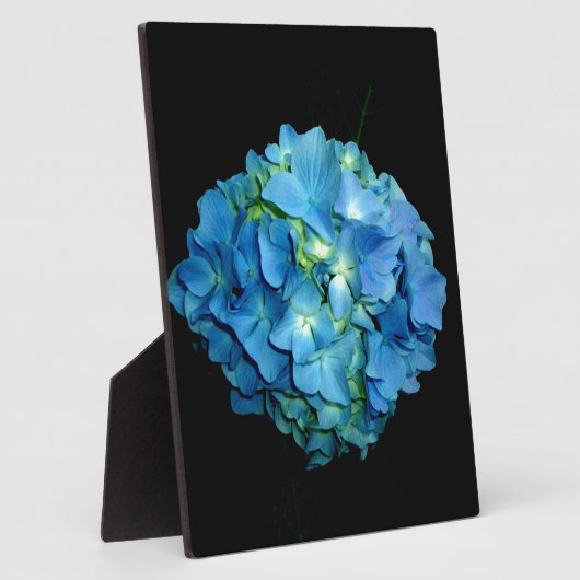 Blue Hydrangea Fotoplaat (Zijkant)