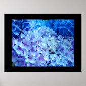 BLUE Hydrangea Garden Flowers art prints (Voorkant)