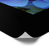 BLUE Hydrangea Garden Flowers art prints (Hoek)